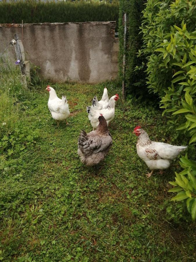 Gites Luzy Morvan Bourgogne Exterior photo
